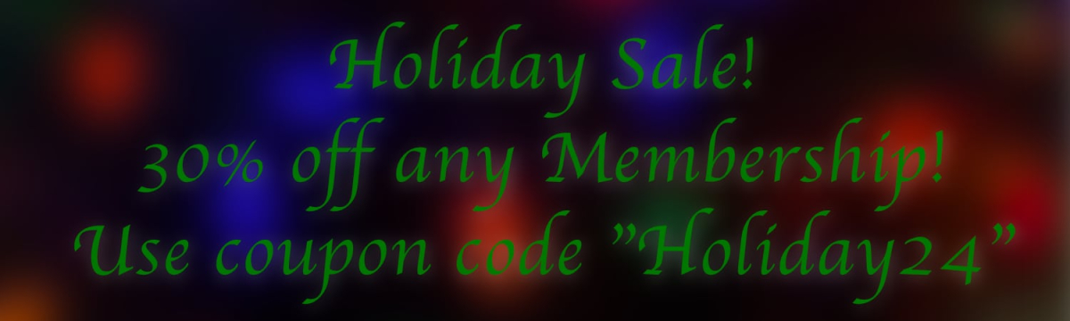 holidaySale24-banner